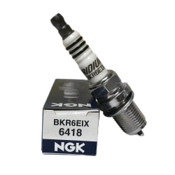 VELA DE IGNIO NGK IRIDIUM #BKR6EIX Cd.:03351